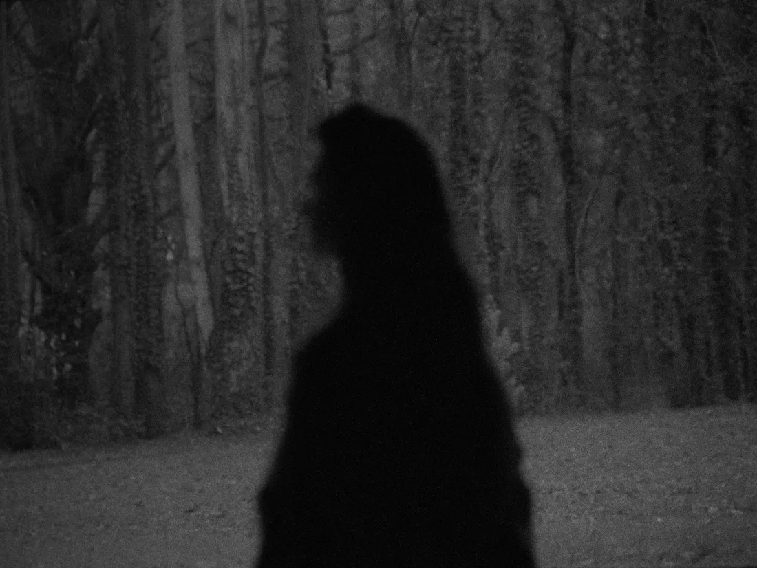 Charlotte Taylor in Maison Louis Carré